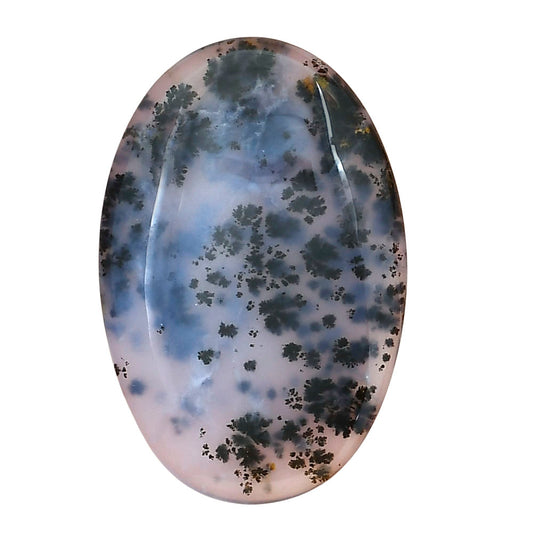 Robinson Ranch Plume Agate 37.4x24.7x4.5 mm Oval Gemstone LS02203-33