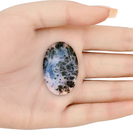 Robinson Ranch Plume Agate 37.4x24.7x4.5 mm Oval Gemstone LS02203-33