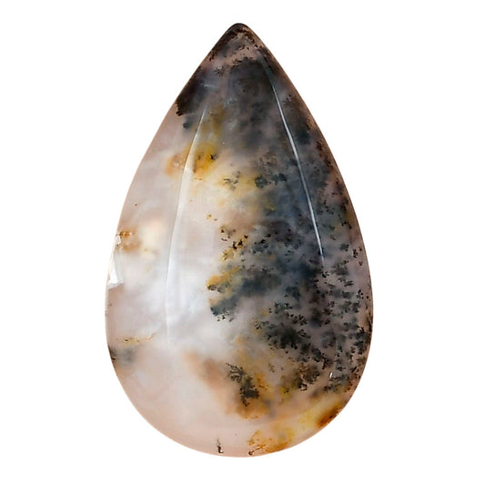Robinson Ranch Plume Agate 32.25x20x5 mm Pear Gemstone LS02206-33