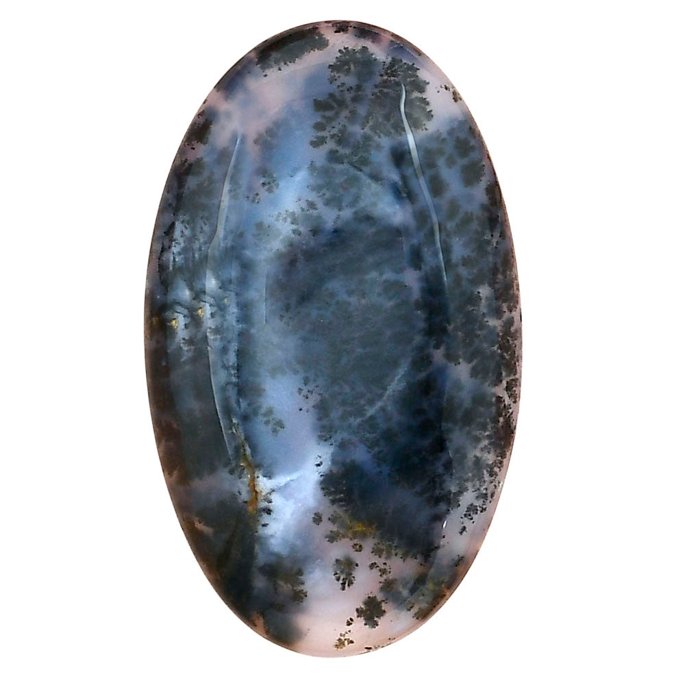 Robinson Ranch Plume Agate 40.35x24x6 mm Oval Gemstone LS02209-33