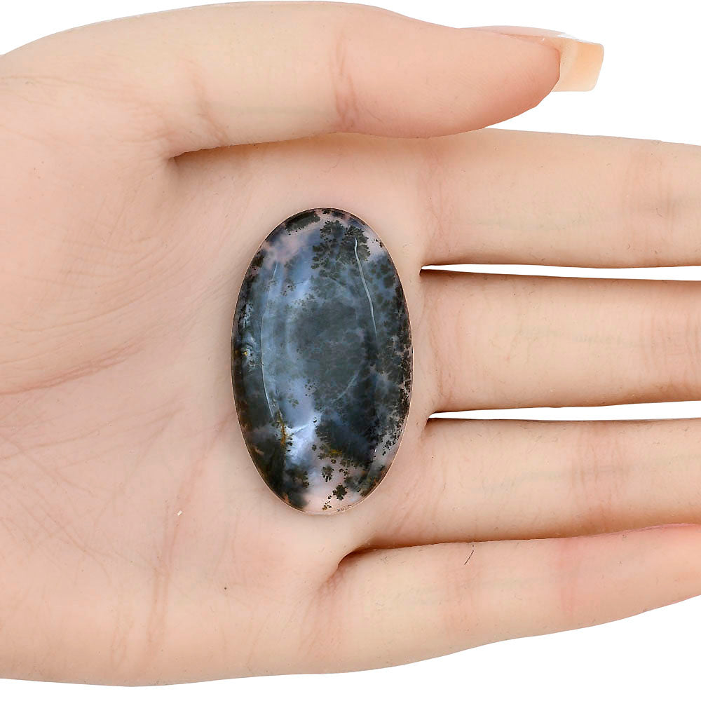 Robinson Ranch Plume Agate 40.35x24x6 mm Oval Gemstone LS02209-33