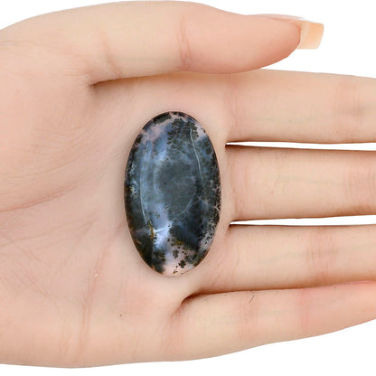 Robinson Ranch Plume Agate 40.35x24x6 mm Oval Gemstone LS02209-33