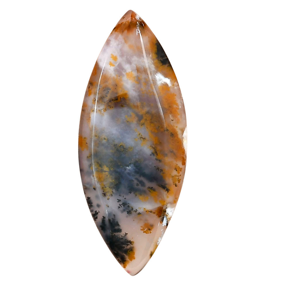 Robinson Ranch Plume Agate 52.1x21.4x5.5mm Marquise Gemstone LS02210-33