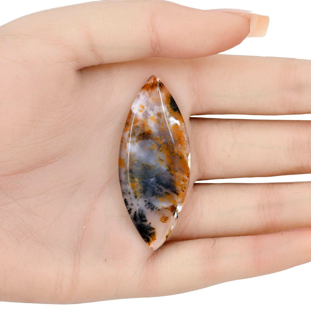 Robinson Ranch Plume Agate 52.1x21.4x5.5mm Marquise Gemstone LS02210-33