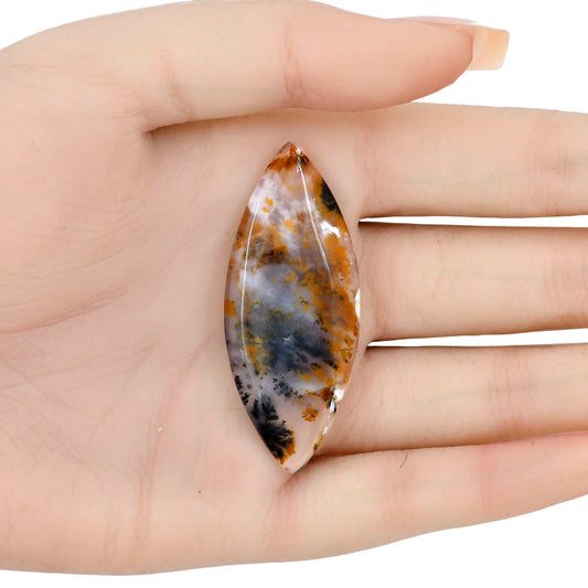 Robinson Ranch Plume Agate 52.1x21.4x5.5mm Marquise Gemstone LS02210-33