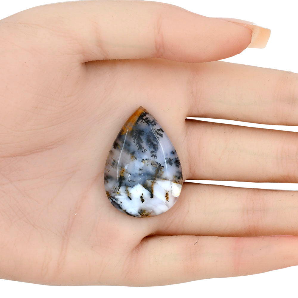 Robinson Ranch Plume Agate 34.55x24.4x5.5 mm Pear Gemstone LS02211-33