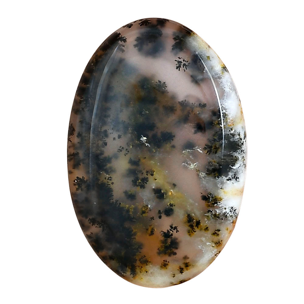 Robinson Ranch Plume Agate 38.5x25.6x5 mm Oval Gemstone LS02212-33