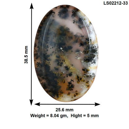 Robinson Ranch Plume Agate 38.5x25.6x5 mm Oval Gemstone LS02212-33