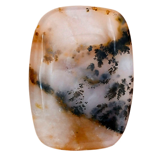 Robinson Ranch Plume Agate 27.7x20x4 mm Fancy Gemstone LS02213-33