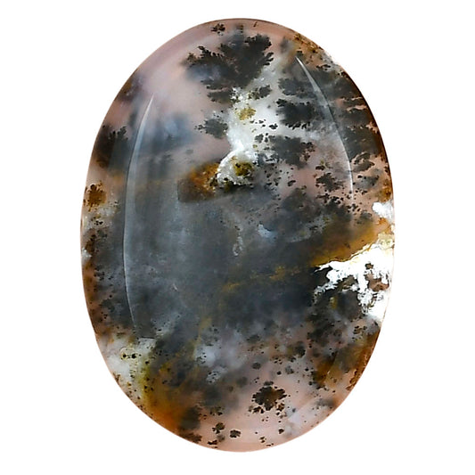 Robinson Ranch Plume Agate 29.8x21.65x4.5 mm Oval Gemstone LS02214-33