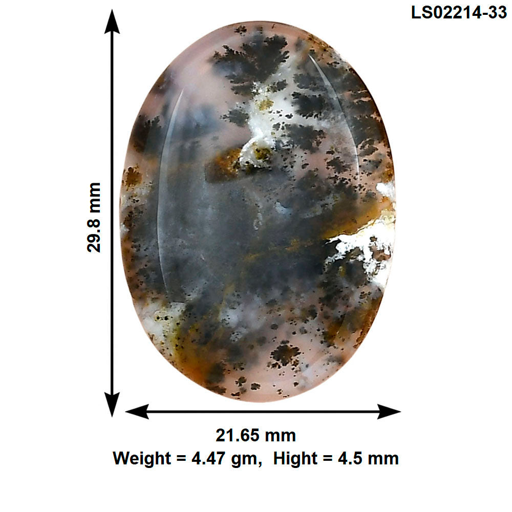 Robinson Ranch Plume Agate 29.8x21.65x4.5 mm Oval Gemstone LS02214-33