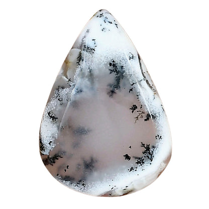 Robinson Ranch Plume Agate 27.8x19.7x4.8 mm Pear Gemstone LS02216-33