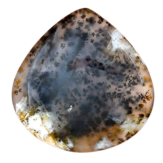 Robinson Ranch Plume Agate 33.9x33.3x5 mm Heart Gemstone LS02217-33