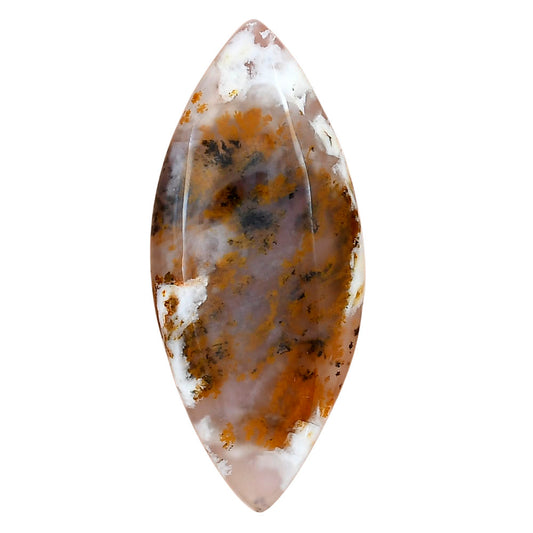 Robinson Ranch Plume Agate 49.1x21.45x5 mm Marquise Gemstone LS02218-33