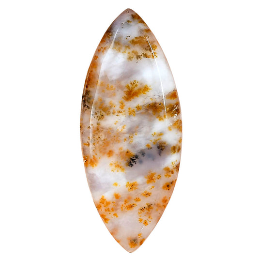 Robinson Ranch Plume Agate 53.3x22.3x4.8mm Marquise Gemstone LS02219-33
