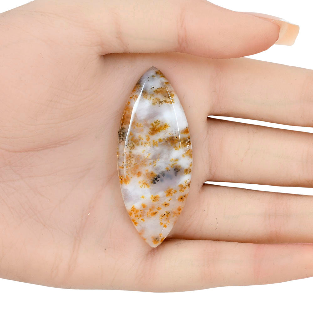 Robinson Ranch Plume Agate 53.3x22.3x4.8mm Marquise Gemstone LS02219-33