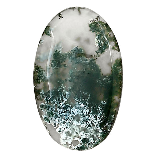 Horse Canyon Moss Agate 30.4x19x4.5 mm Oval Gemstone LS02353-36