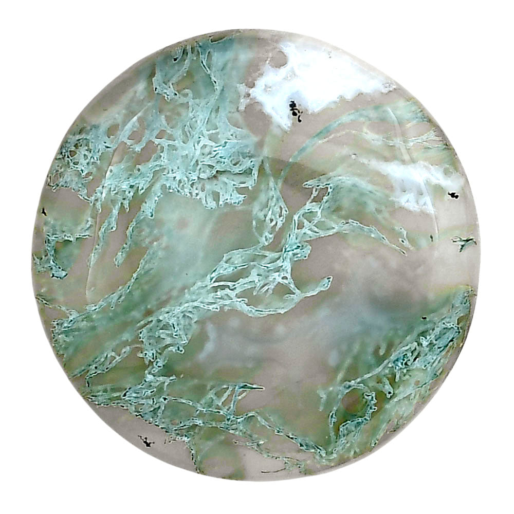 Horse Canyon Moss Agate 30.4x30.4x6.5 mm Round Gemstone LS02361-36
