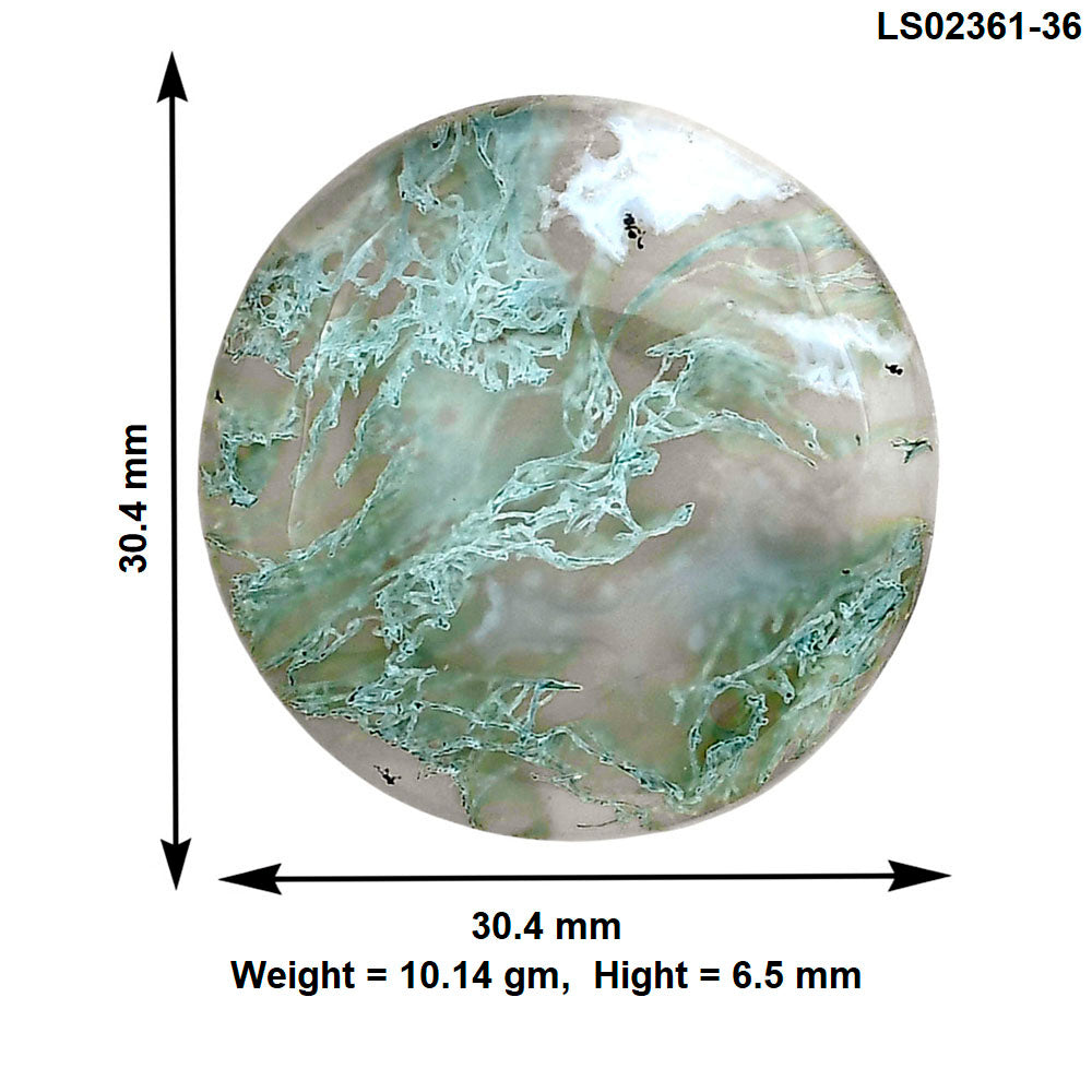 Horse Canyon Moss Agate 30.4x30.4x6.5 mm Round Gemstone LS02361-36