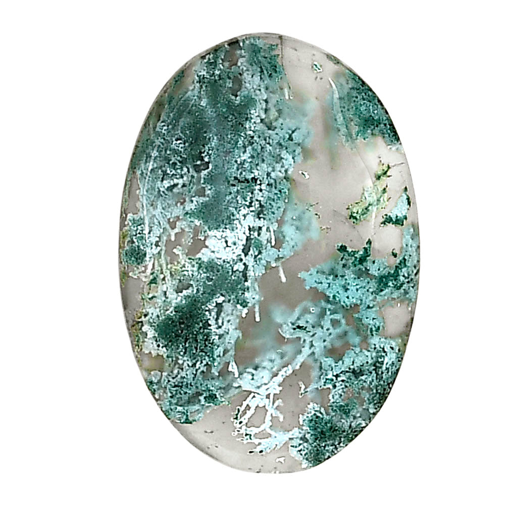 Horse Canyon Moss Agate 25.75x17.65x4.4 mm Oval Gemstone LS02364-36