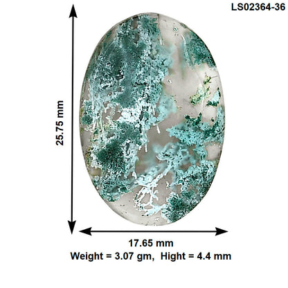 Horse Canyon Moss Agate 25.75x17.65x4.4 mm Oval Gemstone LS02364-36