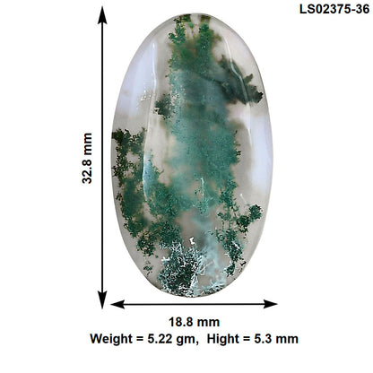Horse Canyon Moss Agate 32.8x18.8x5.3 mm Oval Gemstone LS02375-36