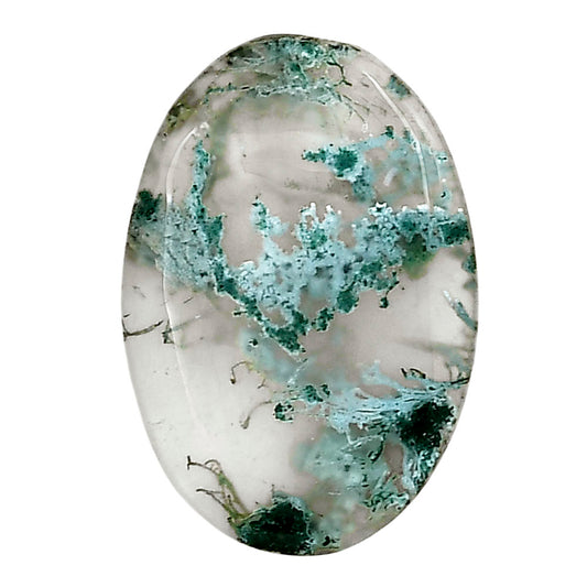 Horse Canyon Moss Agate 18.8x17.4x4 mm Oval Gemstone LS02377-36