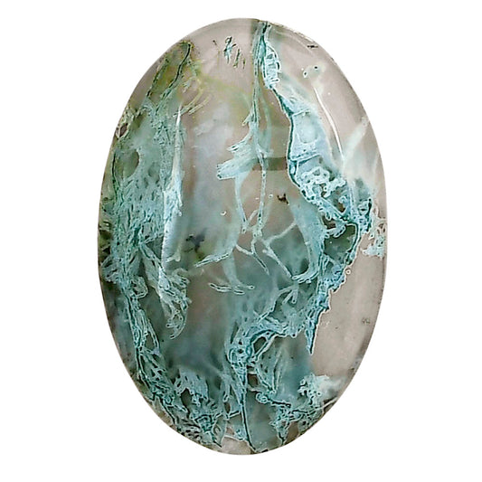 Horse Canyon Moss Agate 28x18.5x6 mm Oval Gemstone LS02385-36
