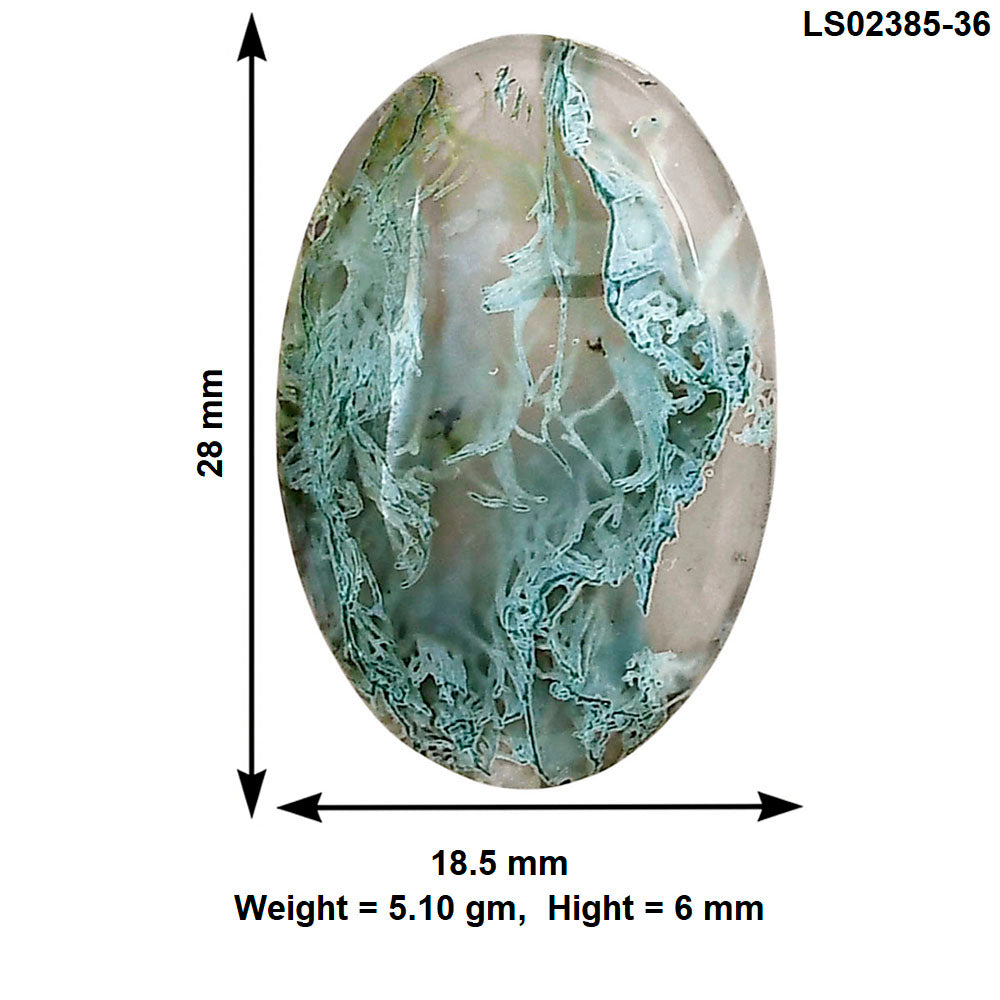 Horse Canyon Moss Agate 28x18.5x6 mm Oval Gemstone LS02385-36