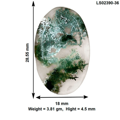 Horse Canyon Moss Agate 28.55x18x4.5 mm Oval Gemstone LS02390-36
