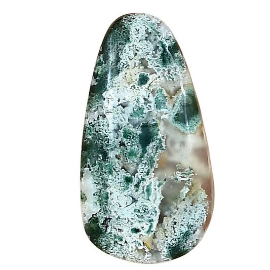 Horse Canyon Moss Agate 29x15.5x5 mm Fancy Gemstone LS02398-36