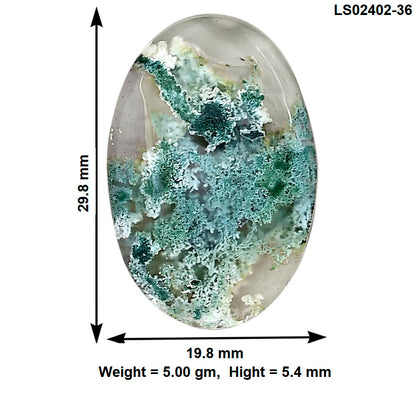 Horse Canyon Moss Agate 29.8x19.8x5.4 mm Oval Gemstone LS02402-36