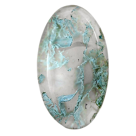 Horse Canyon Moss Agate 31.7x18.4x5 mm Oval Gemstone LS02404-36