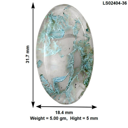 Horse Canyon Moss Agate 31.7x18.4x5 mm Oval Gemstone LS02404-36