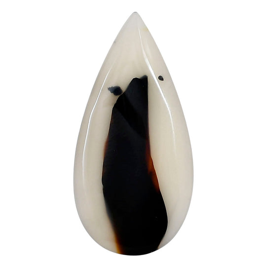 Montana Agate 47.65x23.6x4 mm Pear Gemstone LS02624-40