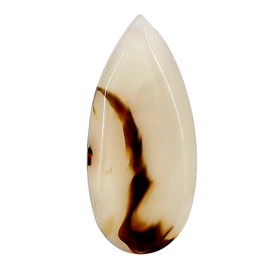 Montana Agate 27.75x12.6x3 mm Pear Gemstone LS02625-40