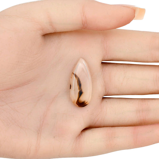 Montana Agate 27.75x12.6x3 mm Pear Gemstone LS02625-40