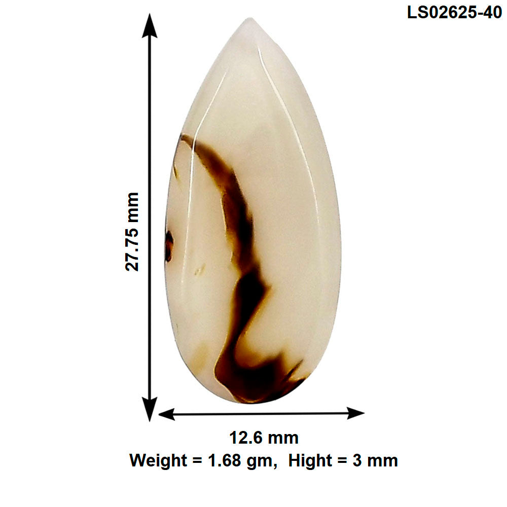 Montana Agate 27.75x12.6x3 mm Pear Gemstone LS02625-40