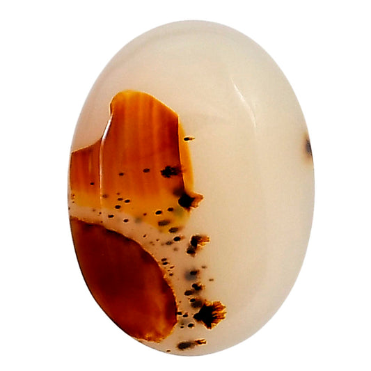 Montana Agate 24.35x18x4.5 mm Oval Gemstone LS02626-40