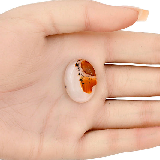 Montana Agate 24.35x18x4.5 mm Oval Gemstone LS02626-40