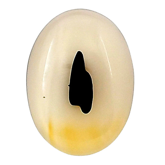 Montana Agate 21x15.5x4.3 mm Oval Gemstone LS02628-40