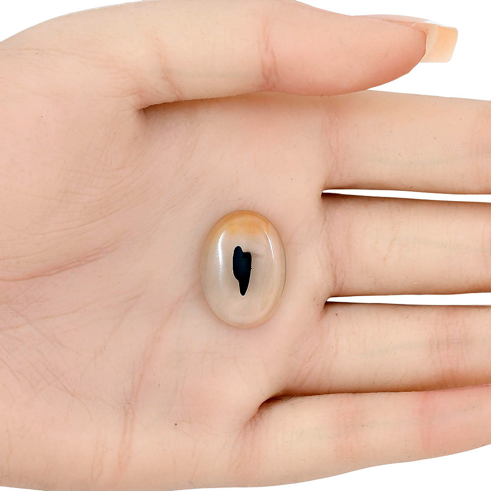 Montana Agate 21x15.5x4.3 mm Oval Gemstone LS02628-40