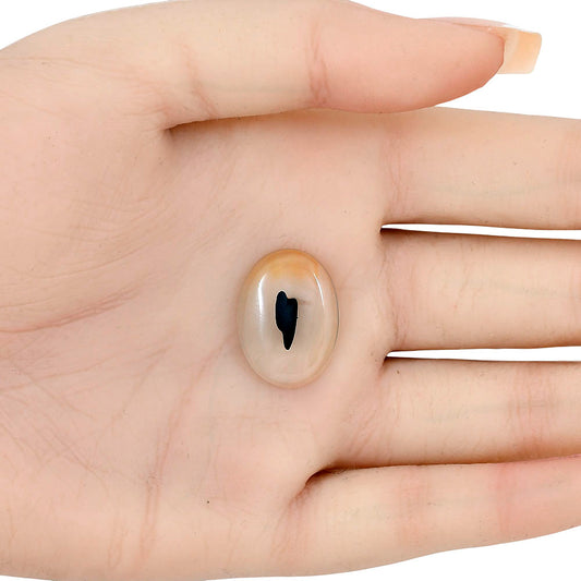 Montana Agate 21x15.5x4.3 mm Oval Gemstone LS02628-40