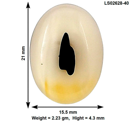 Montana Agate 21x15.5x4.3 mm Oval Gemstone LS02628-40