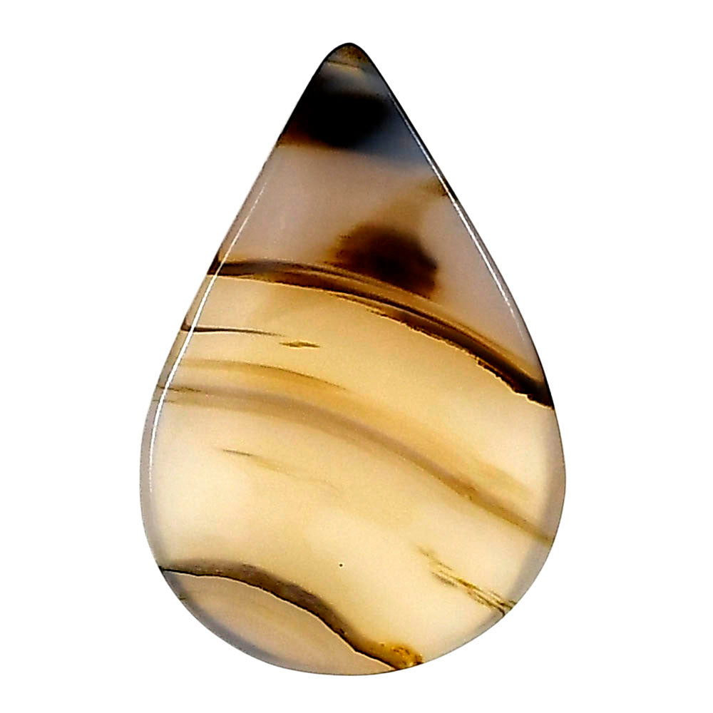 Montana Agate 26.75x18x4.5 mm Pear Gemstone LS02629-40