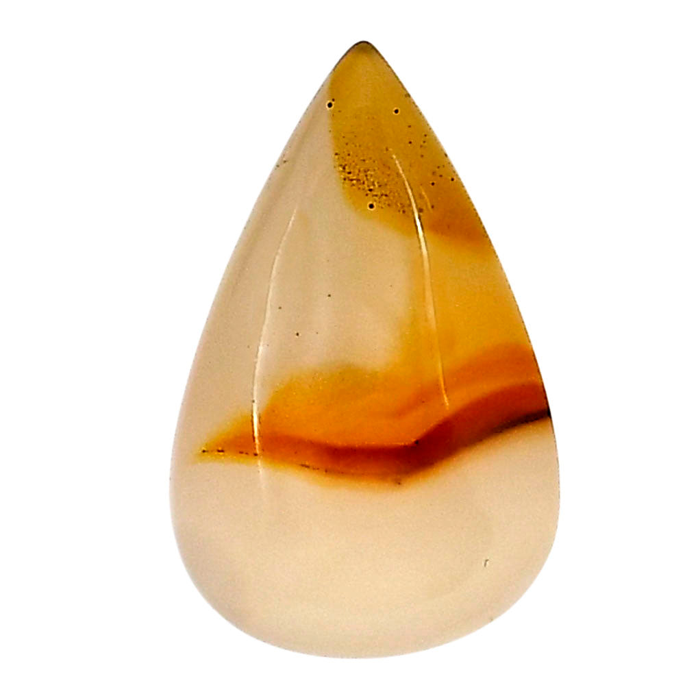 Montana Agate 22.5x14x5.5 mm Pear Gemstone LS02630-40