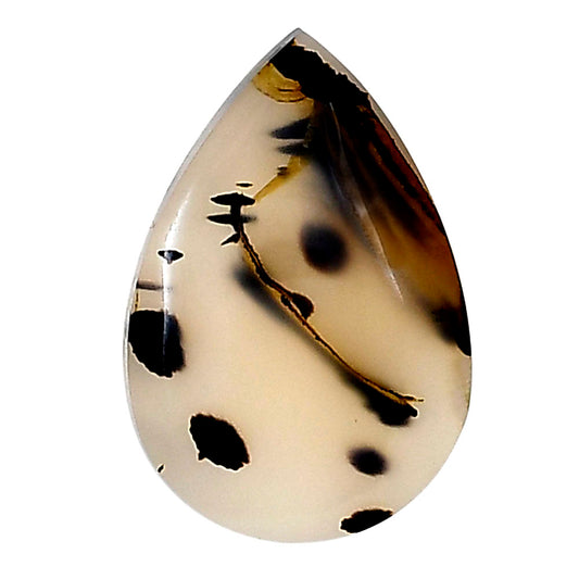 Montana Agate 23.35x15.85x4.5 mm Pear Gemstone LS02631-40