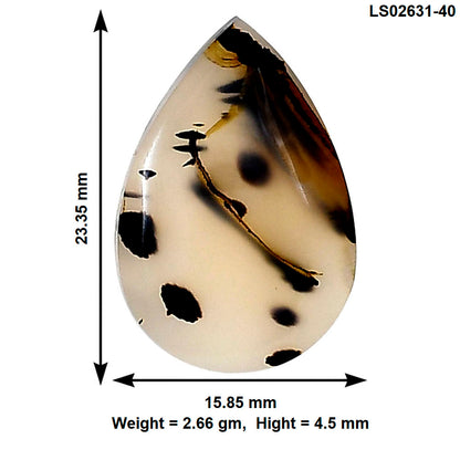 Montana Agate 23.35x15.85x4.5 mm Pear Gemstone LS02631-40