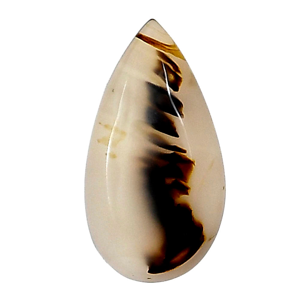 Montana Agate 23.55x12.65x4.2 mm Pear Gemstone LS02632-40