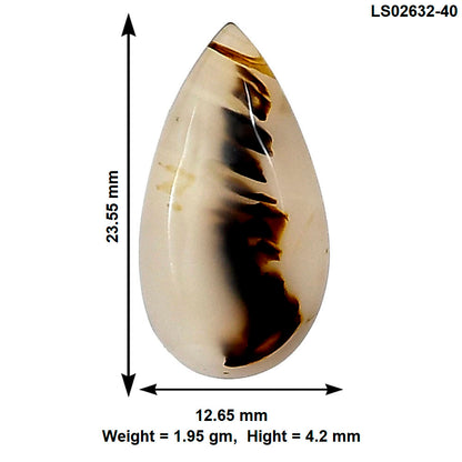 Montana Agate 23.55x12.65x4.2 mm Pear Gemstone LS02632-40
